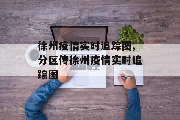 徐州疫情实时追踪图,分区传徐州疫情实时追踪图